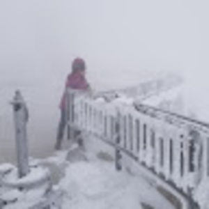 Meet your Posher, Ginger